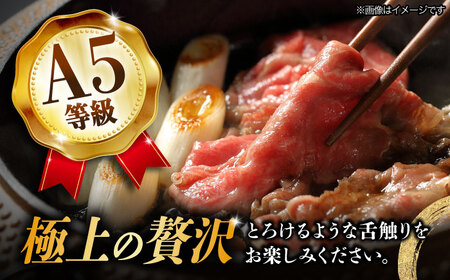 【3回定期便】【飛騨牛】A5等級 ロース 肩ロース すき焼き用 1kg [TAZ021] 飛騨牛 すき焼き