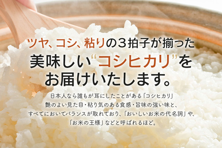 令和7年度産 みねしまふぁーむ 常陸牛農家が育てるコシヒカリ 15kg コシヒカリ 低農薬 低化学肥料 米 発送直前に精米 精米 コシヒカリ米 茨城県産 白米 お米 コメ おこめ こめ こしひかり 有機 ブランド 健康 ギフト 贈り物 A31-003