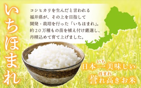  令和7年産  いちほまれ 5kg 「福井県ブランド」 【白米】【人気品種】 [e30-b015]