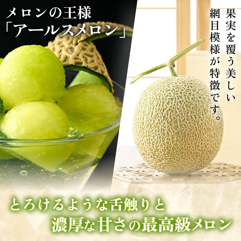 【先行予約】秋 アールスメロン 1玉（約1.6kg以上）青肉品種 高級メロン！ ／ マスクメロン 大玉 果物 フルーツ ギフト 農家直送 ※2026年9月中旬以降発送  [aw065-a008]