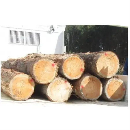BEAR LARCH 　カラマツスツール_雑貨・日用品 椅子・チェア・ソファ 家具・インテリア _【1350799】