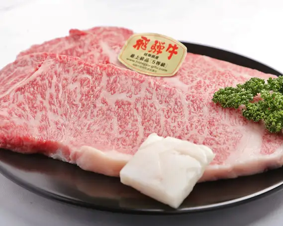 ロース肉ステーキ 10枚（約1800g）　氷温(R)熟成　飛騨牛Ａ５等級 リキッドフリーズ [No.539]
