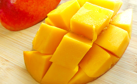 マンゴー【2026年発送】久米島印商店 完熟マンゴー 約1kg  フルーツ 果物