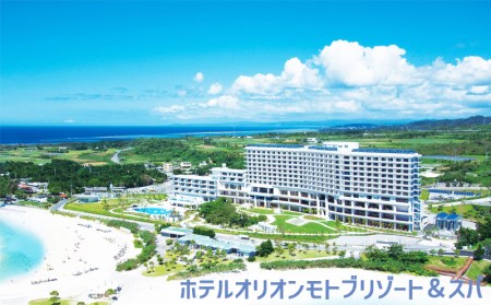 【本部町】しろくまツアーで利用可能なWEB旅行クーポン（45万円分）