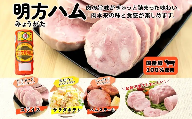 明方 ハム Bセット ボロニア ソーセージ フランクフルト JA ブランド 豚肉 お肉 国産 熟成 塩分 控えめ 豚腸 バーベキュー BBQ 加工品 お取り寄せ 贈答 ギフト 送料無料 めぐみの農業協同組合 岐阜県 美濃市