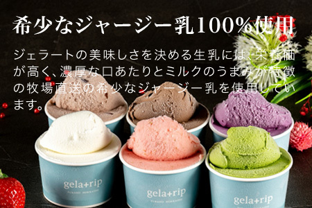 ジェラート 北海道産 生乳. アイス 6個 贅沢ジェラート詰合わせ  [012-39]