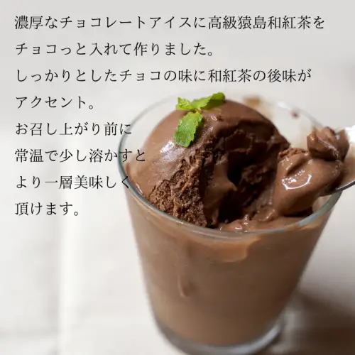 猿島茶使用 チョコ 和紅茶 アイス 5個入 アイスクリーム あいす ふるさと納税 10000円 ギフト スイーツ お菓子 お祝い 詰合せ [AF108ya]