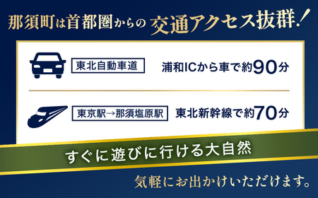 那須でゴルフを満喫！ゴルフ場利用券9,000円分｜ゴルフ ゴルフ場 利用券 チケット プレーチケット 体験 旅行 観光 プレー券 那須 栃木県那須町 那須町〔D-42〕 ※着日指定不可 ※離島への配送不可