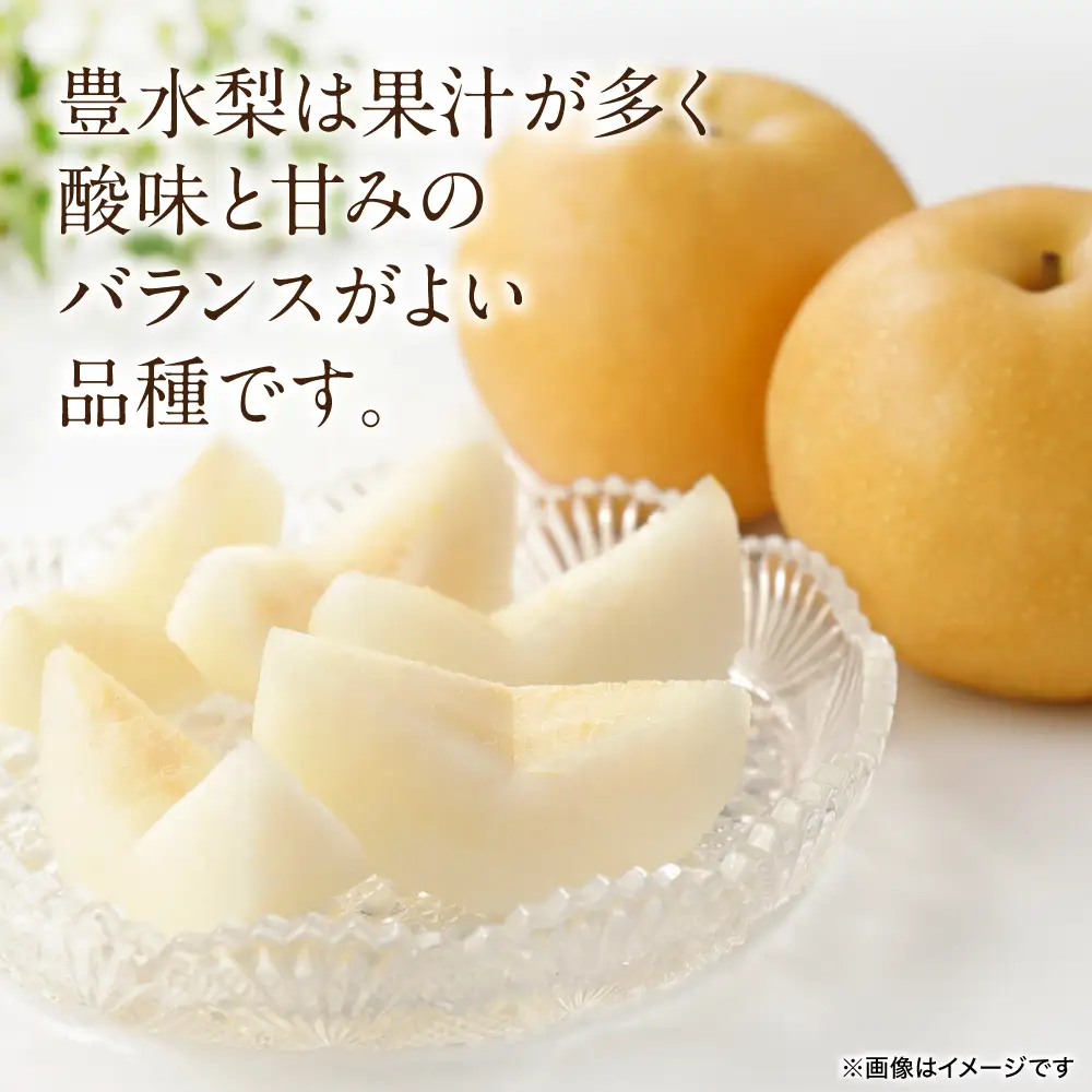 【先行予約】 豊水梨 約5kg (6～22玉) 梨 なし ナシ フルーツ くだもの 果物 旬 熊本県 八代市 【2026年8月中旬より順次発送】