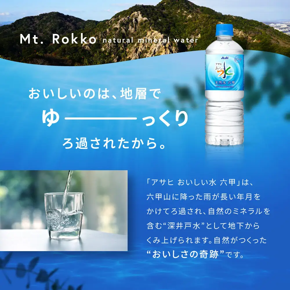 アサヒ飲料 おいしい水 天然水 六甲（600mlペットボトル×24本）