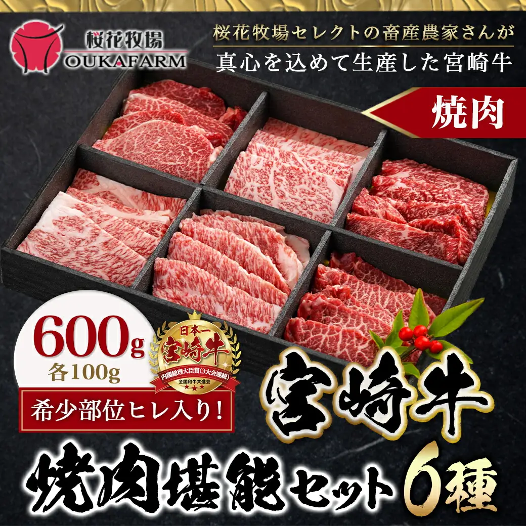 ≪希少部位ヒレ入り！≫ 宮崎牛【特選】6種盛 焼肉堪能セット 600g〔24-6502〕_(都城市) 宮崎県産宮崎牛 焼肉6種盛 各100g ロース 肩ロース ヒレ ウデ バラ モモ 秋特集