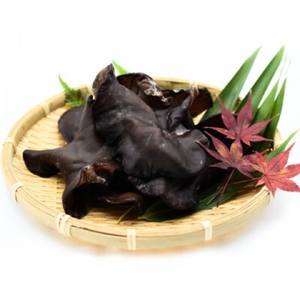 弥彦村産 越のうさぎ 生きくらげ250g･乾燥きくらげ25g 詰め合わせセット | 生きくらげ 新潟県 弥彦村