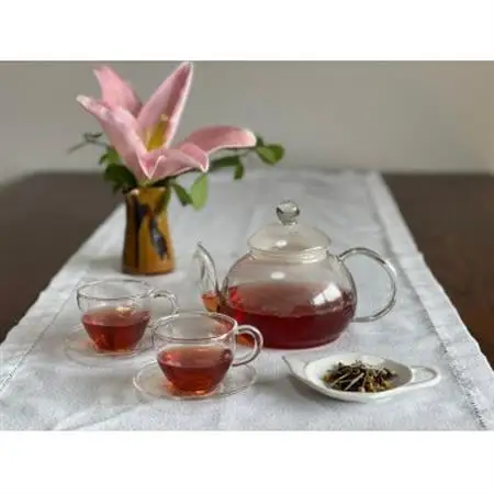 心と体を元気にパワーアップサポートハーブティー_飲料・ドリンク 茶葉・ティーバッグ 紅茶 _【1324377】