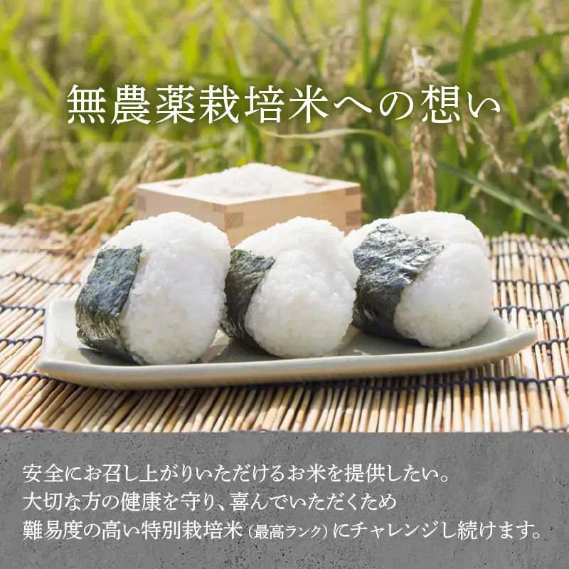 【先行予約】【令和8年産 新米】伊与衛門農園のコシヒカリ 精米 5kg 特別栽培米 化学肥料不使用 ＜温度と湿度を常時管理し新鮮米を出荷！＞／ 高品質 鮮度抜群 福井県あわら産 ブランド米 白米 お米 ※2026年9月下旬より順次発送予定 [aw071-a009]