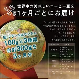 【３か月定期便】焙煎士お任せ100g×3種類セット[粉] 受注自家焙煎 珈琲粉 コーヒー粉
