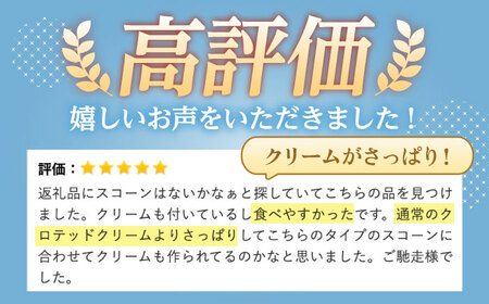 スコーン 12個セット[TAK001]