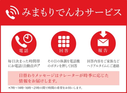 みまもり電話サービス【携帯電話】6か月【日本郵便】 防犯 見守り 郵便局 [TAV005]