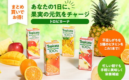 トロピカーナ 100％ アップル 250ml LLスリム×24本