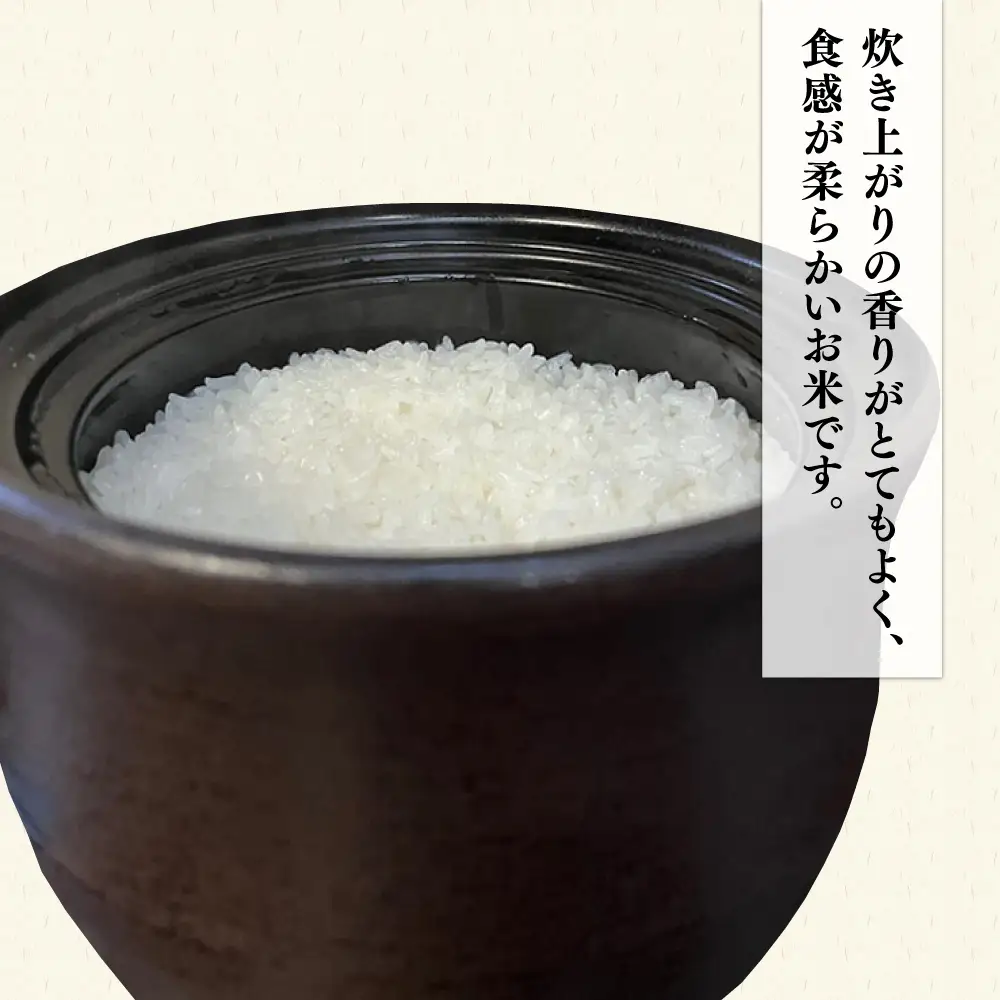 伊都の米 5kg  糸島市 / 米屋納富 [ARL001] 白米 お米