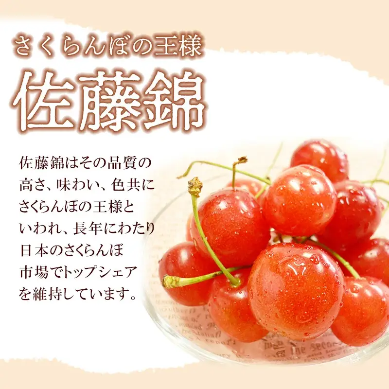 【令和8年産先行予約】 さくらんぼ 佐藤錦 (L又は2Lサイズ) 1kg バラ詰め 山形県鶴岡市産　株式会社 元青果