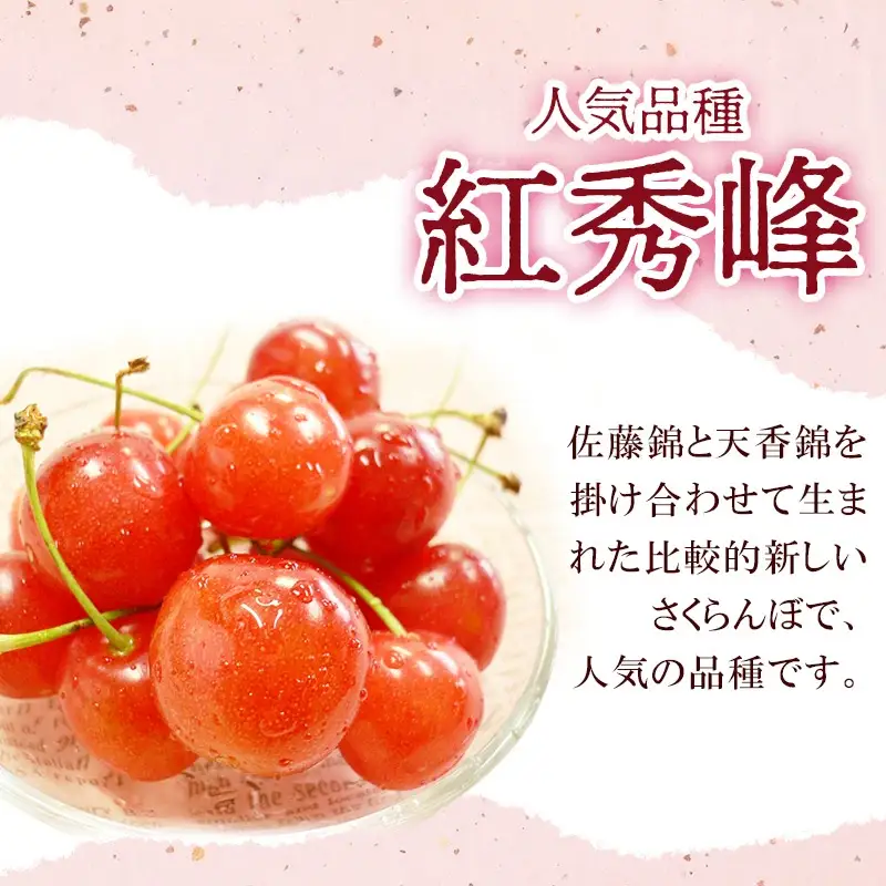 【令和8年産先行予約】 さくらんぼ 紅秀峰 (L又は2Lサイズ) 1kg バラ詰め 山形県鶴岡市産　株式会社 元青果