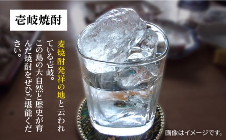麦焼酎 壱岐 （20度・900ml） 紙パック 計6本  [JDB350] 麦焼酎 お酒
