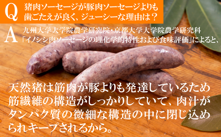 【ジビエ】平戸いのしし ソーセージセット 粗挽 燻製 各２セット/ 加工品 フランクフルト ウインナー 長崎県 天然 イノシシ肉