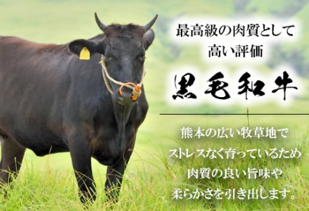 くまもと黒毛和牛 すき焼き肉 ロース切り落とし500g 《60日以内に出荷予定(土日祝除く)》 熊本県 長洲町 くまもと黒毛和牛 黒毛和牛 牛肉 肉 すき焼き 株式会社 羽根(出荷元：株式会社酒湊) 切落し