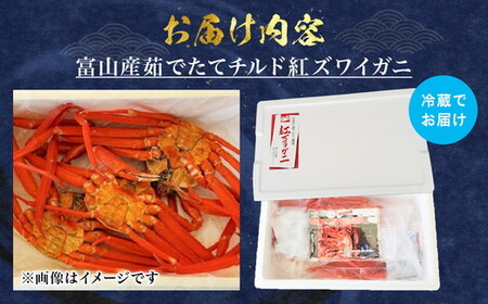 【特に訳あり】魚卸問屋のベニズワイガニ 約3kg｜ 魚介類 海の幸 海鮮 甲殻類 ボイル かに鍋 みそ汁 国産 富山県産 魚津市産 ※2025年9月下旬～2026年5月下旬頃に順次発送予定 ※北海道・沖縄・離島への配送不可