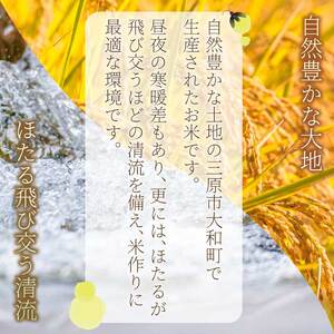 【3か月定期便】ほたる米「大和の里」広島こしひかり 精米 10kg（5kg×2袋） 白米 米 こめ 令和7年産 066005
