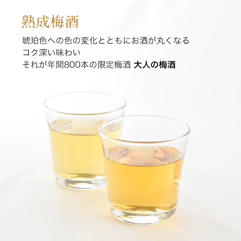 3年熟成 幻の梅酒 熊野伝説720ml 【黒】【prm025A】
