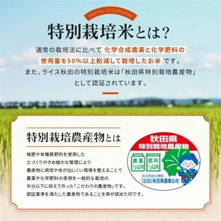 【無洗米】大潟村産あきたこまち特別栽培米5kg 【令和7年産】【配送不可地域：離島・沖縄県】【1353943】