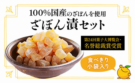伝統銘菓 ざぼん漬セット 100g×10袋 | 津久見市