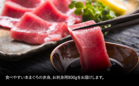 本マグロ お刺身用 赤身 5人前 (800g) | まぐろ 津久見市