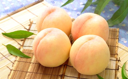 74-09 白桃4～5玉（1kg以上）【2026年7月上旬～8月上旬頃発送予定】