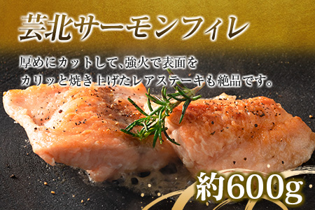 芸北サーモン計800g＆アマゴセット 骨取り サーモンフィレ 冷燻サーモン スモークサーモン 芸北アマゴ 清流育ちのお魚セット 山育ち芸北サーモン_OG065_004