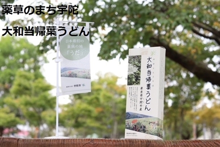 薬草のまち宇陀 大和当帰葉うどん 5個／薬草 大和当帰葉 うどん ２食分 ５個 奈良県 宇陀市