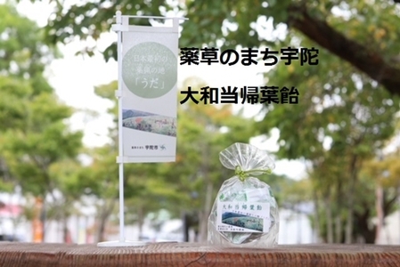 薬草のまち宇陀 大和当帰葉飴 10個／飴 個包装 10個 奈良県 宇陀市