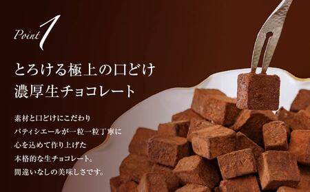 訳あり 濃厚 生チョコレート 約1.5kg 生チョコレート ちょこちょこ