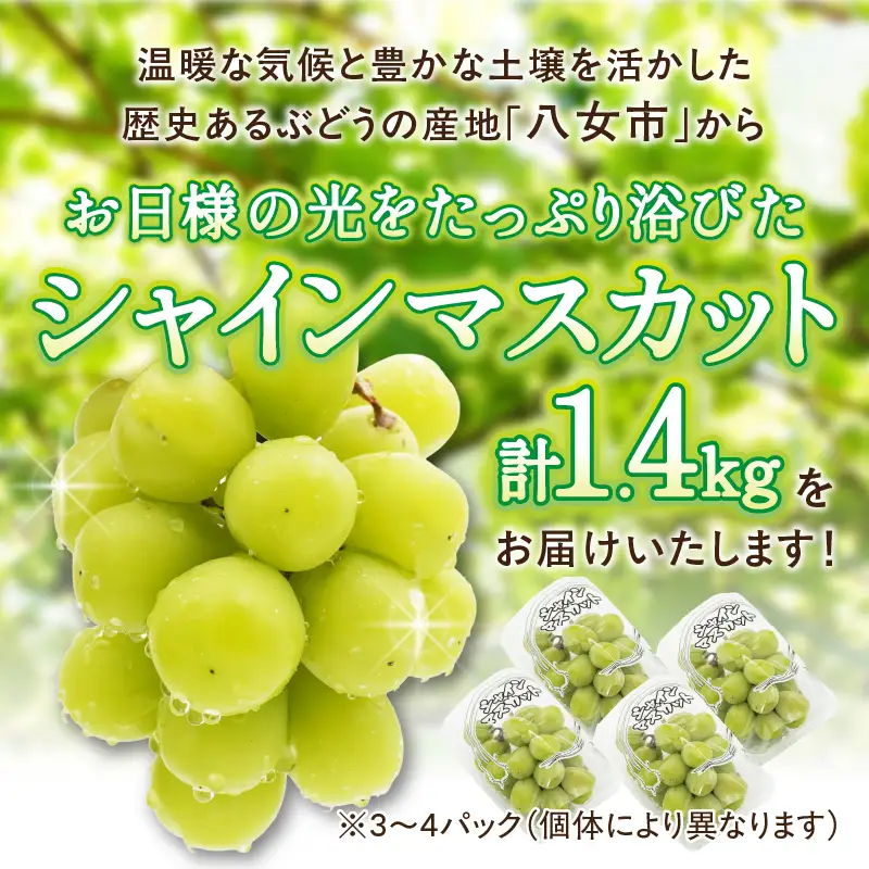 【先行受付】【2026年発送】九州福岡フルーツ王国八女 大粒入りシャインマスカット 約1.4kg【数量限定】＜配送不可：北海道・沖縄・離島＞ 数量限定 約1.4kg 高糖度 大粒 厳選 果物 くだもの フルーツ ぶどう 葡萄 ジューシー 種なし 冷蔵 九州 福岡県 八女市 072-143