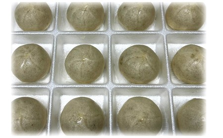 酒まんじゅう 2箱（1箱 15個入）いちかわ菓子舗
