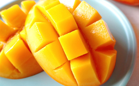 マンゴー 【2026年発送】ミツバチの受粉で育てた喜久川さんの完熟マンゴー 約1kg ◆秀品◆ フルーツ 果物 