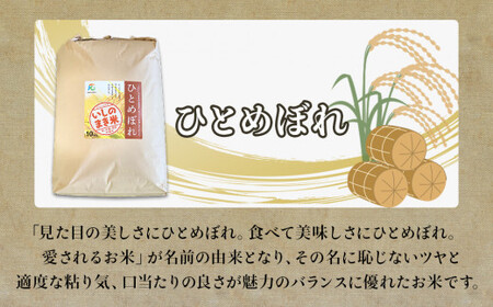 宮城県いしのまき産 米「令和7年産ひとめぼれ」（精米）10kg