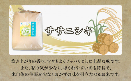 宮城県 いしのまき産 米「ササニシキ」（精米）10kg
