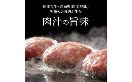生姜好きにオススメ！老舗レストランの国産牛・美鮮豚ハンバーグ130g×8ケ＋黄金しょうがソース×4袋 ハンバーグ セット 16000円 牛肉 豚肉 和牛 美味しい おいしい 小分けパック 個包装 冷凍 食品
