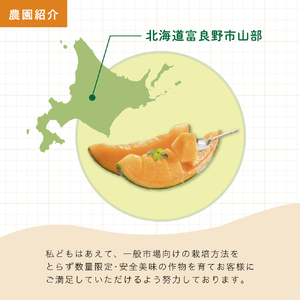 【2026年夏発送】富良野メロン 山部の絶品『鳳凰』3L 2玉 計4kg以上 メロン 赤肉 大玉 北海道