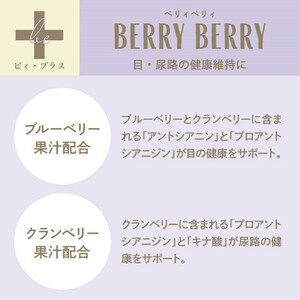 犬用おやつ サプリメント ビィ・プラス ベリィベリィ 3袋セット サプリ