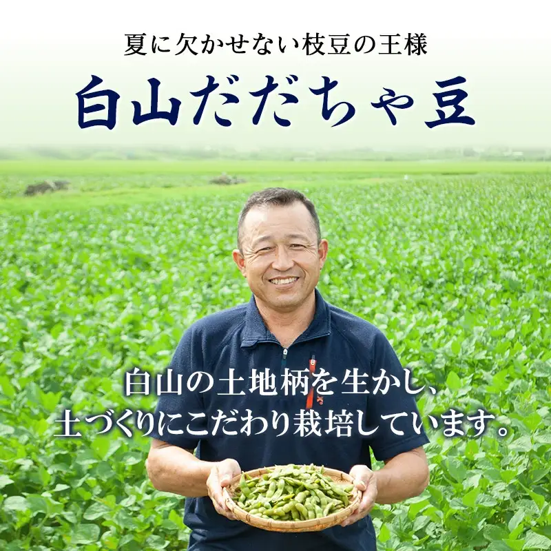数量限定【令和8年産先行予約】 白山だだちゃ豆　4kg（500g × 8袋） + 訳あり200g　鶴岡市白山産　長五郎