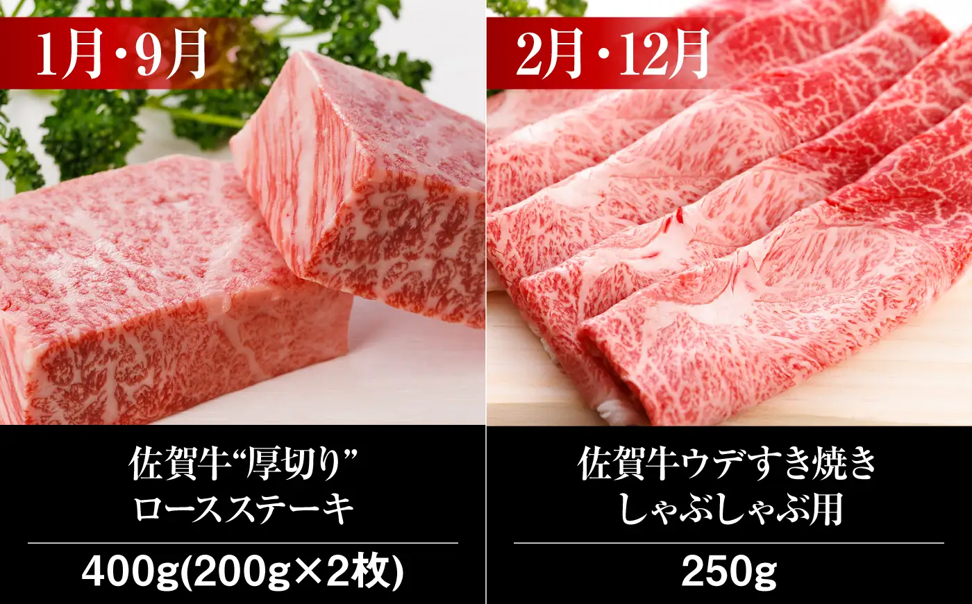 【全12回定期便】佐賀牛 食べ比べ定期便 約2人前 総計4kg UCC002 佐賀牛