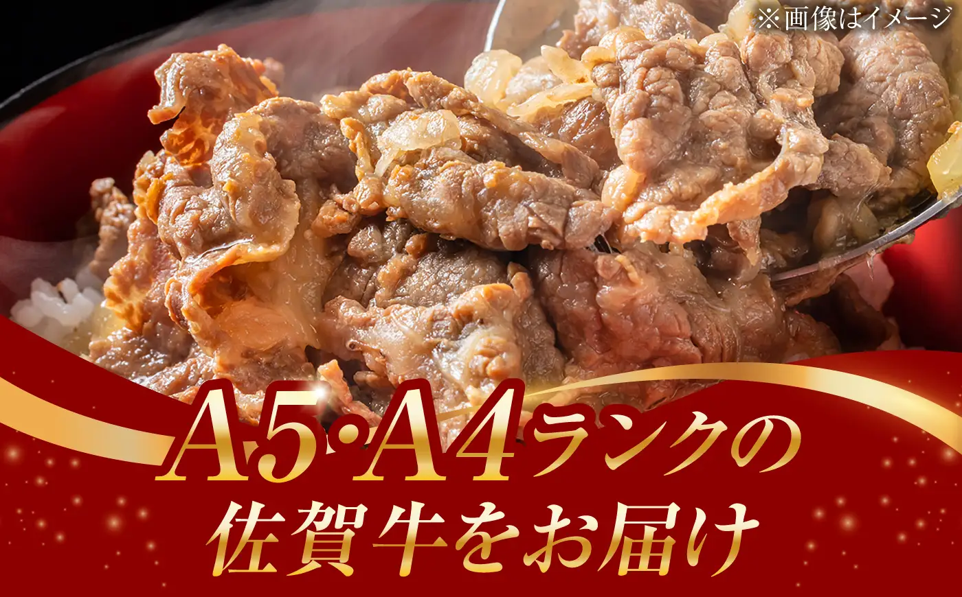 佐賀牛 牛肉切り落とし 460g /焼肉どすこい [UCC010] 牛肉切り落とし